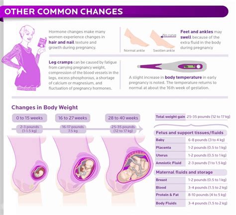 Breast changes in pregnancy: expert GP guide to。